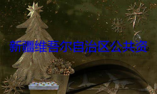 自治区公共资源交易中建强接受审查调查新疆维吾尔心副主任薛